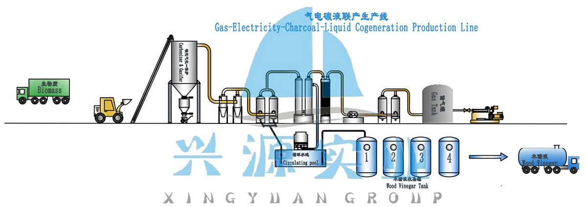 Biomass Power Plant