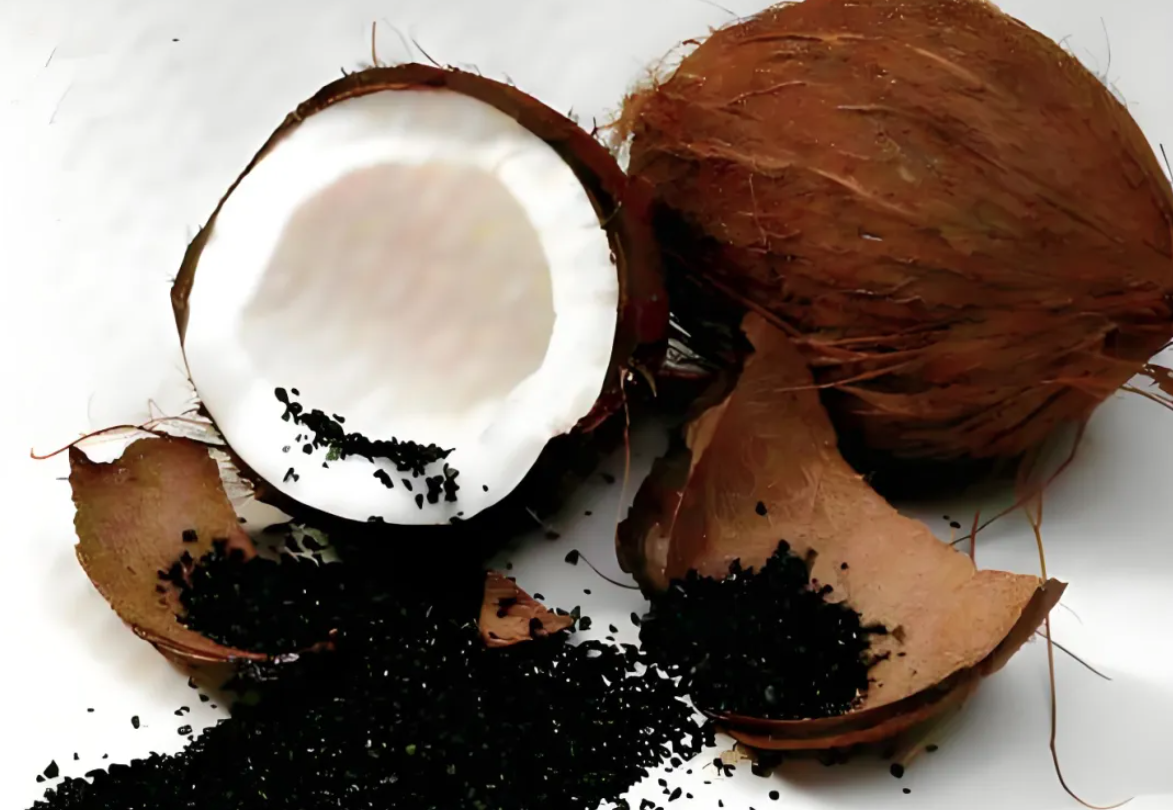 coconut activated carbon.png