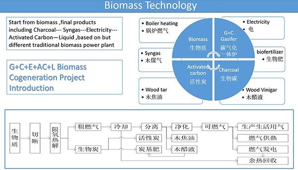 Biomass Gasification Power Plant